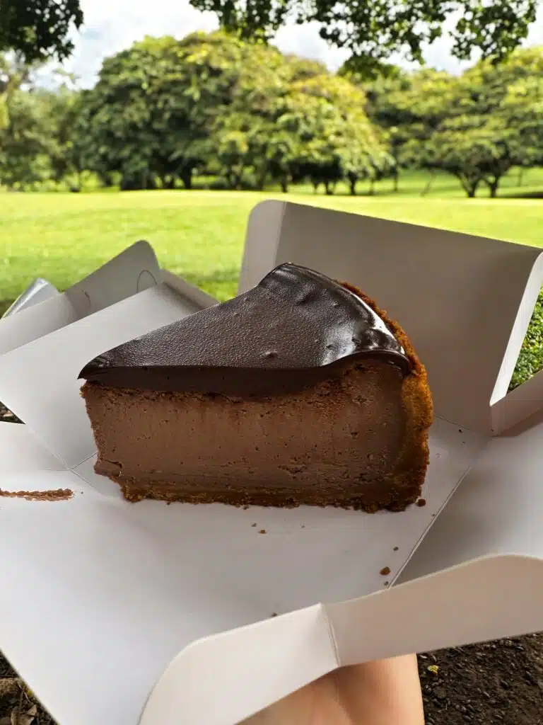 Chocolate cheese cake in a box at the park in Panama City