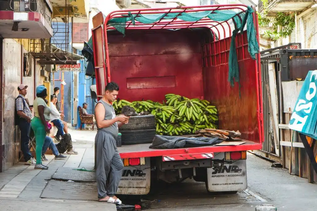 Man standing next to a red truck full of green platanos or starchy bananas in the old neighborhood of Santa Ana, Panama
