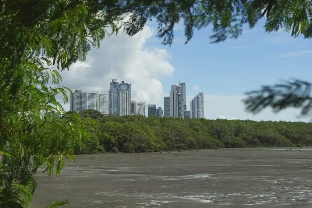 Overlooking Panama City's Costa del Este neighborhood, surrounded by mangroves at low tide