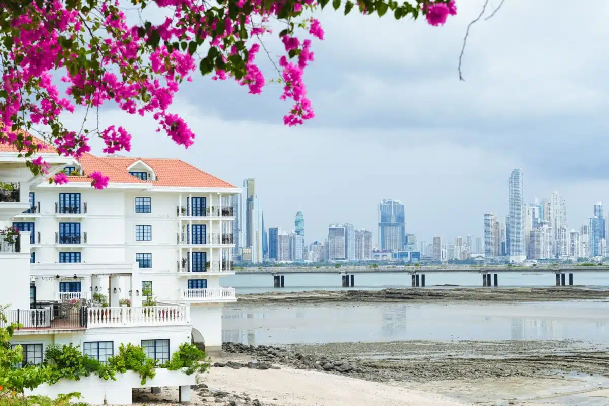 Overlooking Sofitel Legend hotel located in Casco Viejo, framed by bougainvillea flowers with the Panama City skyline in the background