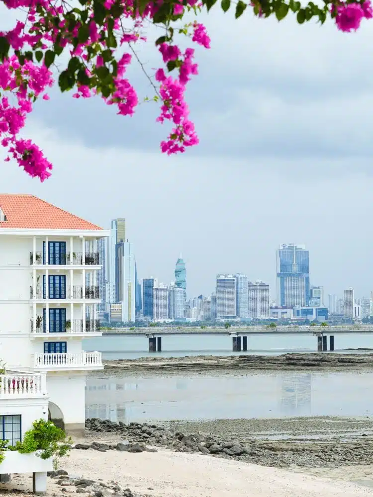 Overlooking Sofitel Legend hotel located in Casco Viejo, framed by bougainvillea flowers with the Panama City skyline in the background