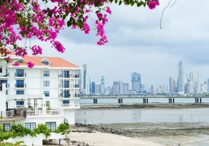 Overlooking Sofitel Legend hotel located in Casco Viejo, framed by bougainvillea flowers with the Panama City skyline in the background