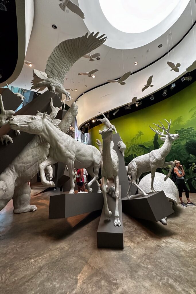 Animal statues on display at Bio Museum