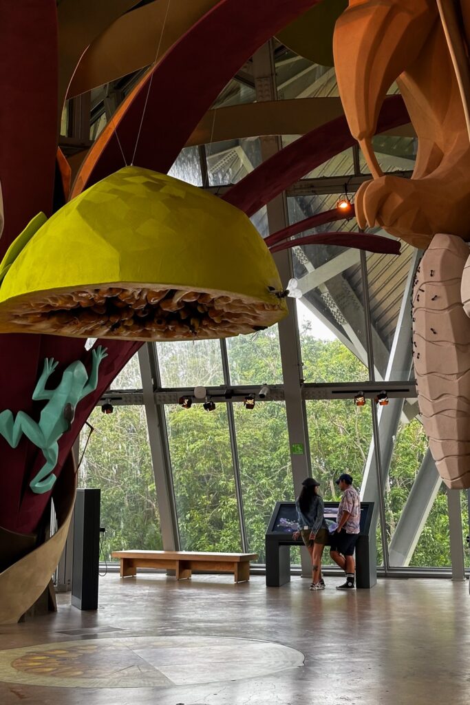 Art installations inside Panama City's museum of biodiversity