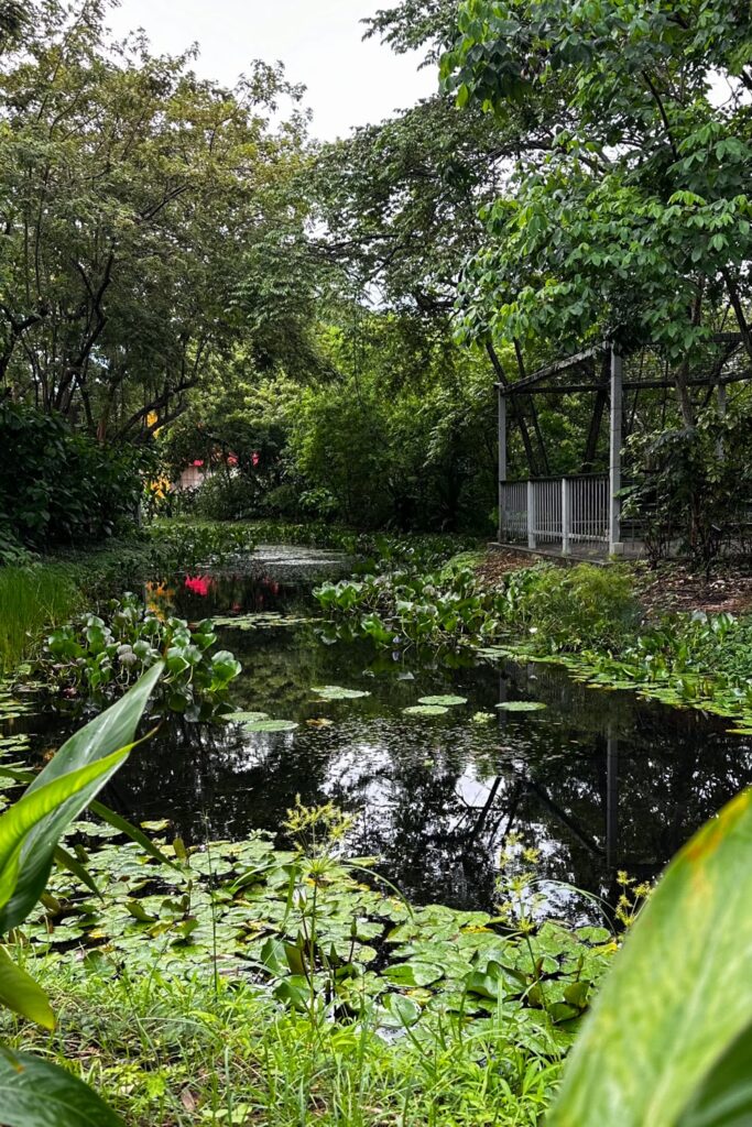 Park with pond behind Panama City's museum of biodiversity