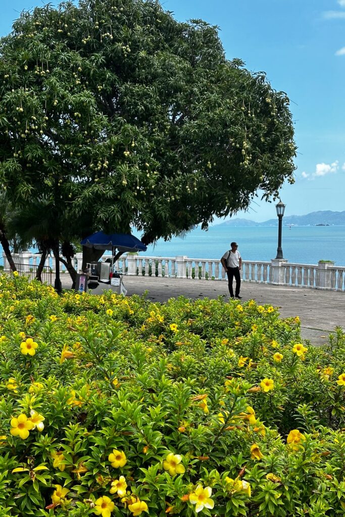 Man walking on Amador Causeway in Panama City