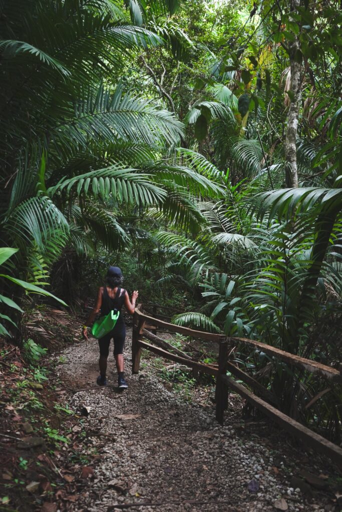 Woman walking down a trail in Metropolitan park in Panama City
