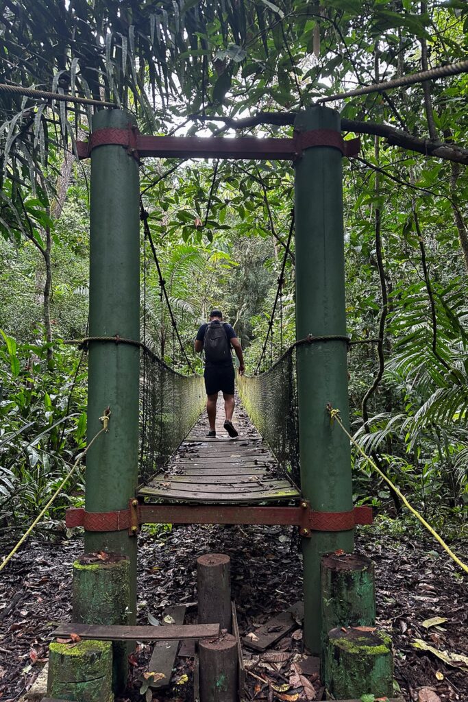 Map walking over a hanging bridge at Soberania National Park