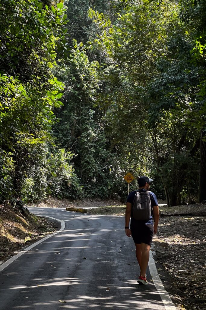 walking trail in panama city park