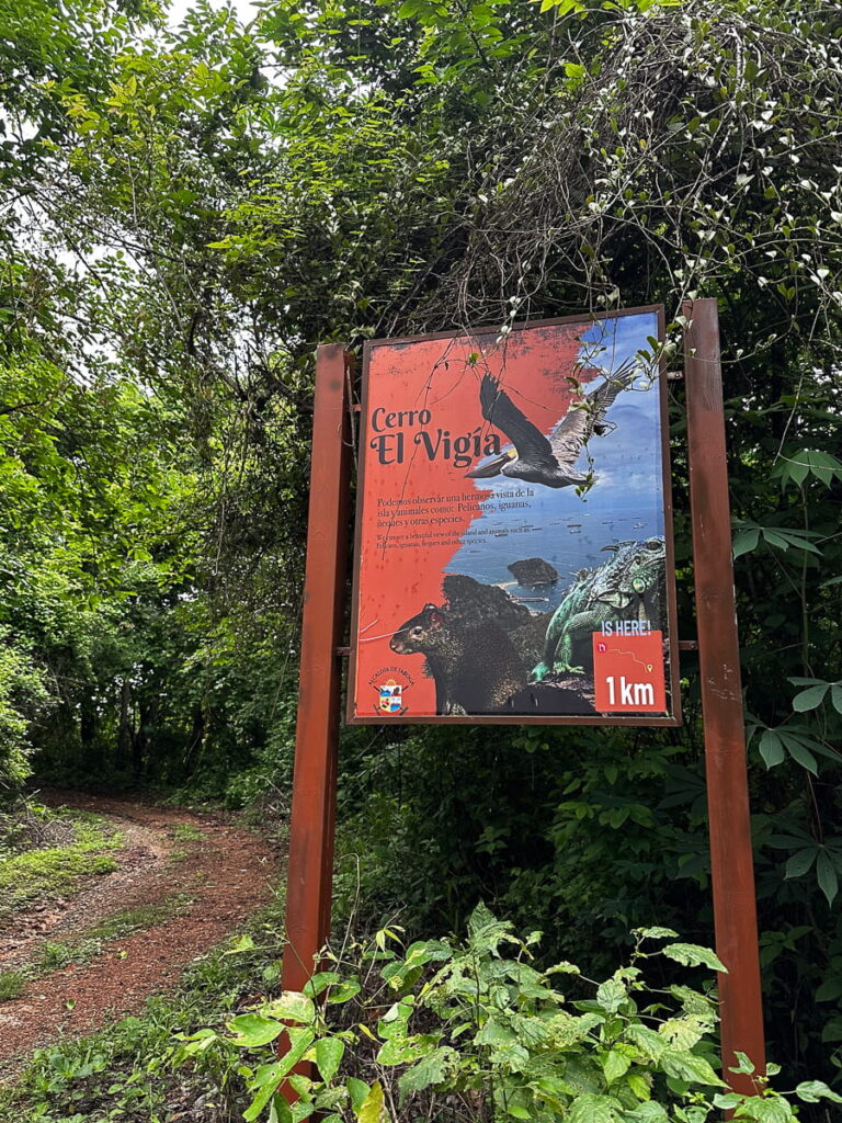 hiking trail on taboga island day trip